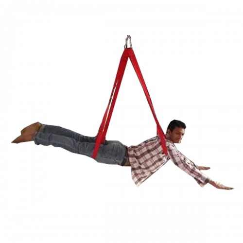 Aeroplane Swing Economy